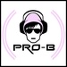 Radio Pro-B Logo