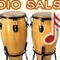 Radio Salson Logo