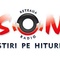 RadioSon Reghin Logo