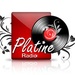 Platine Radio Logo