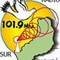 Radio Sur Garupá 101.9 Logo