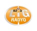 Lig Radyo Logo