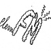 Plem FM Logo