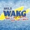 103.3 WAKG - WAKG Logo