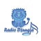 Radio Džungla - Live I Program Logo