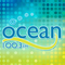 Ocean 100 FM - CHTN-FM Logo