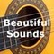 Beautiful Sounds Berlin Logo