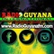 Radio Guyana International Logo