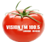 Visión FM Logo