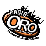 Radio Oro Stereo 96.7 Logo