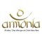 Radio Armonia FM Logo