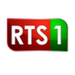 RTS TV Logo