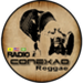 Rádio Conexão Reggae Logo