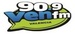 VEN FM Logo