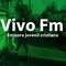 Vivo Fm Logo