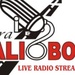 Suara Malioboro FM Logo