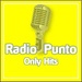 Radio Punto - Hits Channel Logo