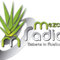 Mezcal Radio Logo