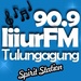 Liiur FM 90.9 Logo