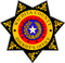 Wichita Falls, TX Sheriff, Police Logo