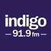 Indigo 919 Logo