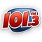 Radio 101,3 FM Logo