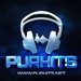 Radio Purhits Logo