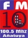 FM 10 La Diez Logo