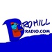 Birdhill Radio Logo