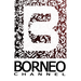 Borneo Channel FM Logo