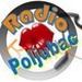 Radio Poljubac Logo