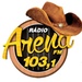 Arena FM 103 Logo