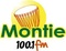 Montie 100.1 FM Logo