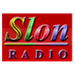 Radio Slon FM Logo