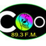 COOL FM 89.3 Logo