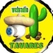 Web Rádio Tavares Logo