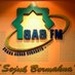 Radio SAS FM Logo