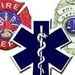 Anderson County Sheriff, Fire and EMS - Palmetto P25 Logo