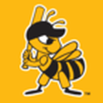 Salt Lake Bees Baseball Network Logo