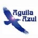 Aguila Azul Logo