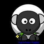 Hochrhein-Radio Logo