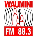 Radio Waumini Logo