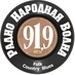 Народная волна Logo