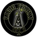 Radio Projekti 21 Logo