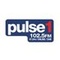 Pulse 1 Logo