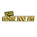 WNIR 100 FM - WNIR Logo