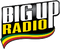 BigUpRadio - Roots Logo