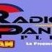 Radio Panick Plus Logo