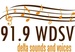 91.9 WDSV - WDSV Logo