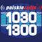 Polskie Radio 1030 Chicago - WNVR Logo